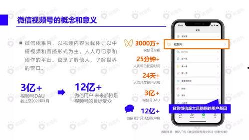 神仙老师吃瓜视频下载安装,下载安装攻略全解析