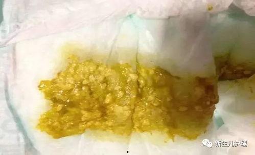 小孩吃瓜绿幕素材视频大全,小孩吃瓜欢乐瞬间大盘点