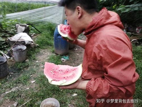 摆地摊吃瓜的视频大全,摆地摊吃瓜视频大全集锦