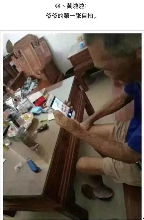 白鲨吃瓜事件视频播放,一场海洋奇观引发的全球热议