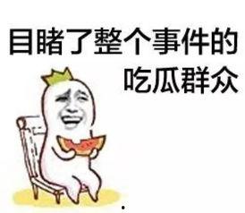 吃瓜群众看热闹吵架视频,吃瓜群众围观吵架视频，一场全民参与的“口水战”