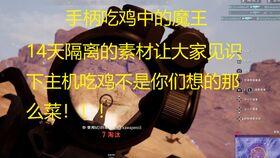 吃鸡呆瓜视频全集,全程笑料横生的欢乐之旅