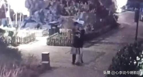 吃瓜露脸视频完整,一场网络狂欢背后的真相