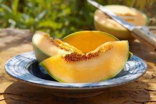 吃沙瓜的视频大全集,夏日消暑美食盛宴
