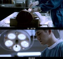 吃瓜事件真实案例视频,一场网络舆论的风暴与反思