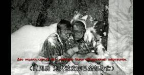 吃瓜事件真实案例视频,一场网络舆论的风暴与反思