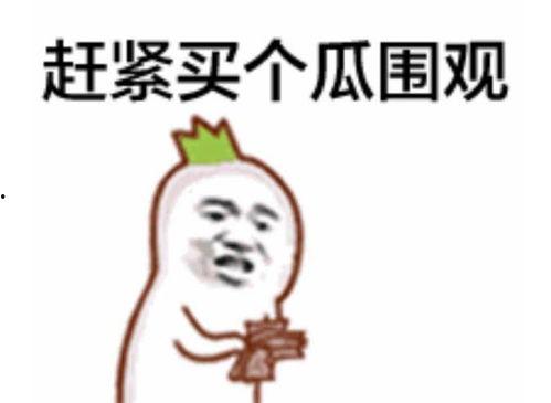 吃瓜群众小布丁视频,揭秘娱乐圈幕后故事