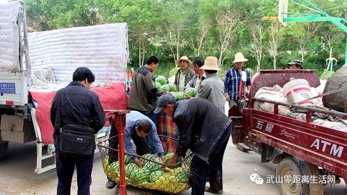 武宁县吃瓜群众事件视频,网络舆论下的社会现象解析