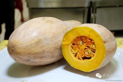吃生瓜蔬菜直播视频,生瓜蔬菜新鲜吃法大揭秘
