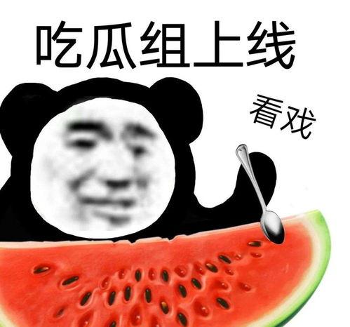 大瓜吃瓜的视频大全,揭秘热门视频大全背后的精彩故事