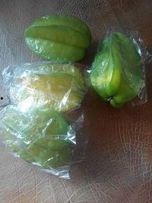 果蝇吃哈密瓜视频,揭秘哈密瓜的甜蜜诱惑