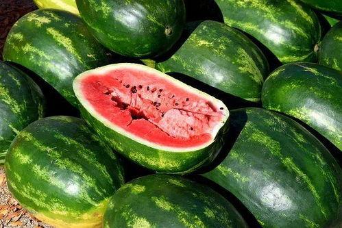 独家吃瓜视频素材,吃瓜群众视角下的幕后真相大曝光！