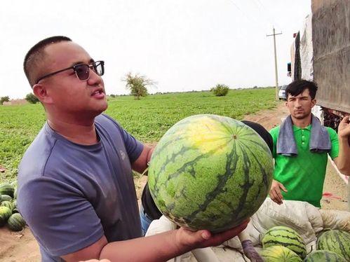 聪慧每日吃瓜视频,聪慧带你领略娱乐圈新鲜事