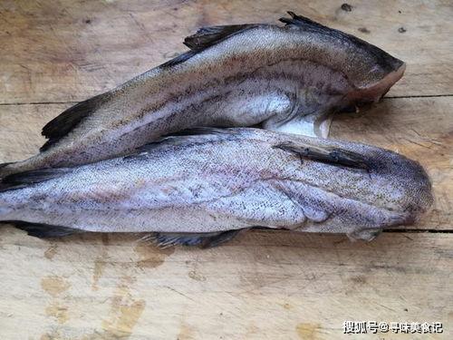 吃生八瓜鱼视频,一探究竟的烹饪视频揭秘