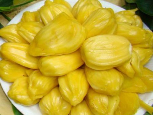 吃菠萝蜜瓜视频,一场视觉与味蕾的双重盛宴