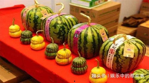 田瓜可以当贡品吃吗视频,探寻古代贡品中的美食传奇