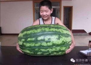 吃瓜的视频最好不要看,守护心灵净土