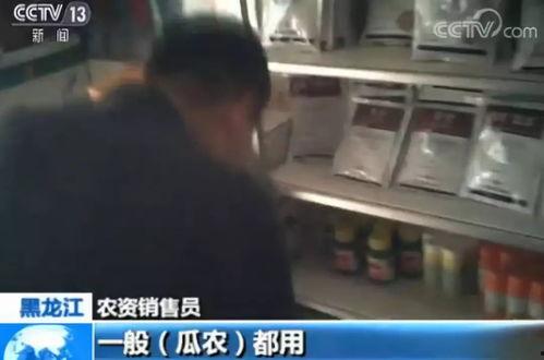 吃瓜拉肚子视频搞笑图,网友直呼“肚子疼”