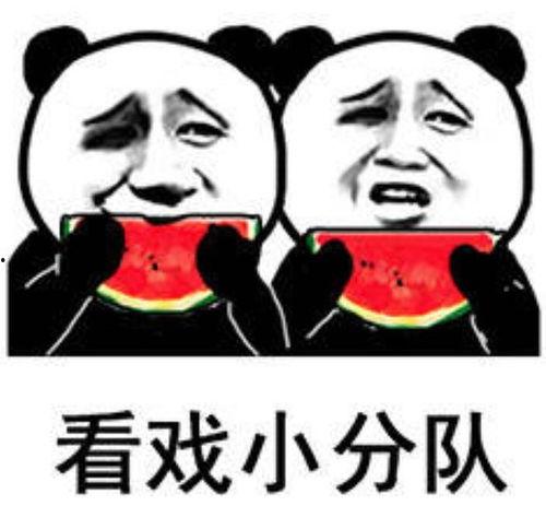 一起吃瓜看视频,一起见证精彩瞬间