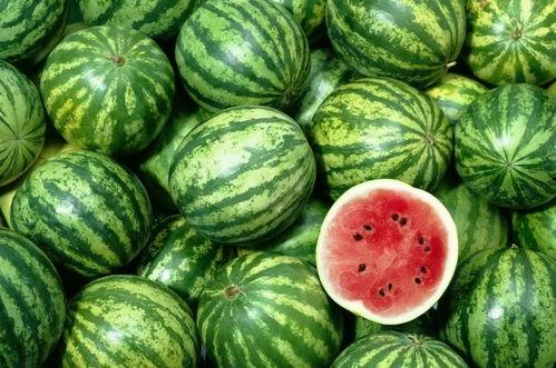 好看吃瓜视频大全,好看吃瓜视频大全，带你领略娱乐盛宴！