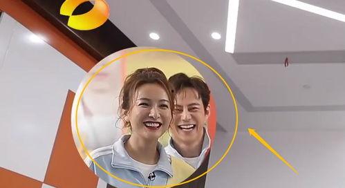 开心的吃瓜歌曲视频,跟随开心的吃瓜歌曲视频畅游欢乐世界