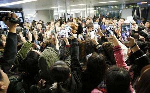 吃瓜群众粉丝56个视频,揭秘吃瓜群众粉丝背后的故事