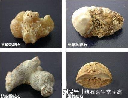 甘肃网民吃瓜事情真相视频,真相视频曝光背后的故事