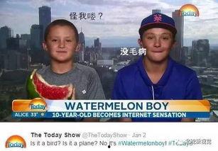 心疼男人吃瓜视频,揭秘吃瓜视频背后的情感纠葛