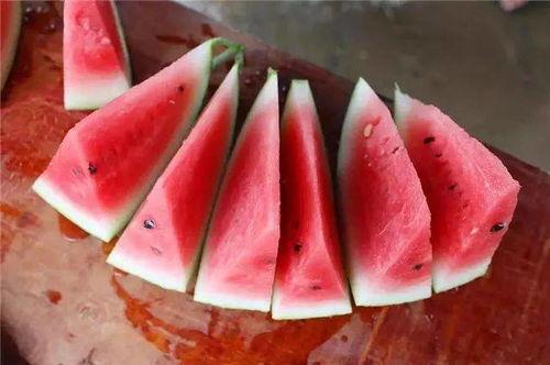 吃瓜视频表现,网络舆论场中的“瓜农”众生相