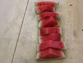 千金吃瓜视频,揭秘网红美食背后的故事