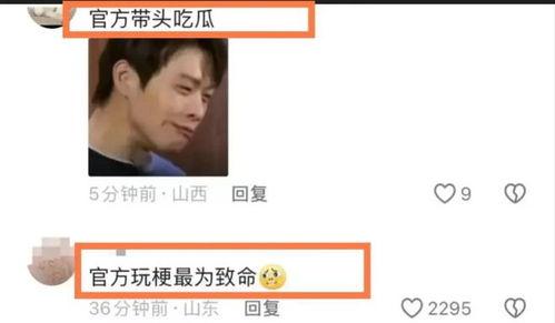 别人发的吃瓜视频,一场视觉盛宴背后的故事