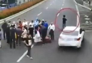 奔跑吧第6季吃瓜视频免费观看,揭秘吃瓜视频，免费观看精彩瞬间