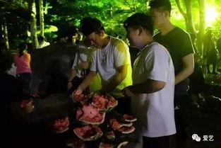 金乡吃瓜事件跳舞视频,舞蹈视频引发全网热议