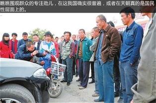 飞度吃瓜群众视频,揭秘网络热传视频背后的故事