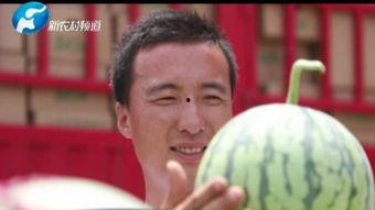 河艺吃瓜视频在线观看,揭秘校园热点背后的故事