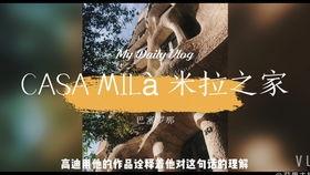 认真吃瓜群众视频,一场网络现象的深度剖析