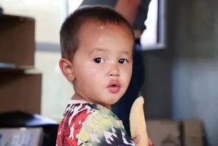 认真吃瓜群众视频,一场网络现象的深度剖析