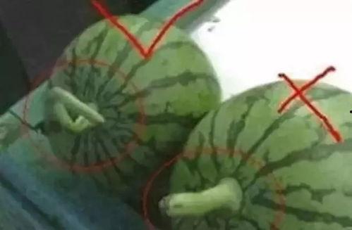 八卦吃瓜视频如何制作,揭秘热门话题背后的故事与真相