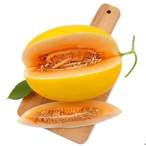 蜜瓜能给老年人吃吗视频,适合老年人的健康美味选择