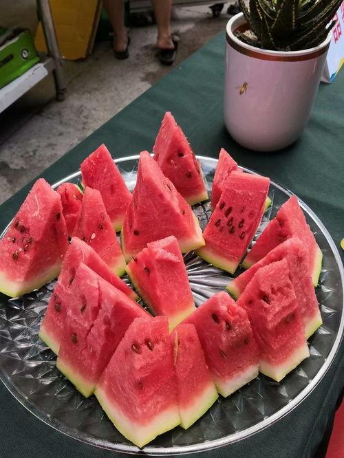 五一赛视频吃瓜