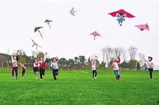 放风筝吃瓜的视频,一场别开生面的放风筝吃瓜盛宴