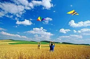 放风筝吃瓜的视频,一场别开生面的放风筝吃瓜盛宴