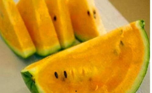 日本人吃黄瓤瓜的视频,黄瓤瓜的奇妙风味体验