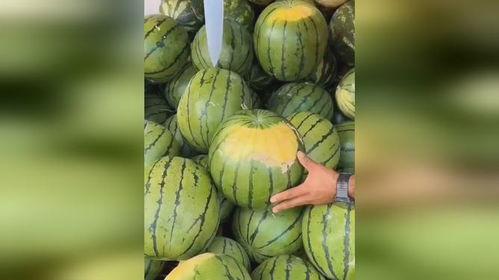 日本人吃黄瓤瓜的视频,黄瓤瓜的奇妙风味体验