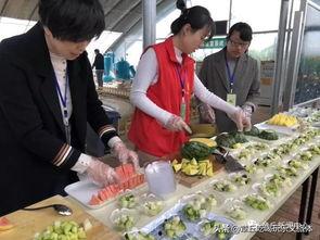 美发店吃瓜群众视频,一场关于时尚与八卦的视觉盛宴