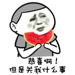 吃瓜群众王哥视频播放,揭秘热门事件背后的真相