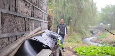 桥洞下吃瓜视频,揭秘街头美食的独特魅力