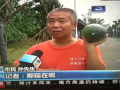 江山市吃瓜群众事件视频,网络围观下的社会现象解析