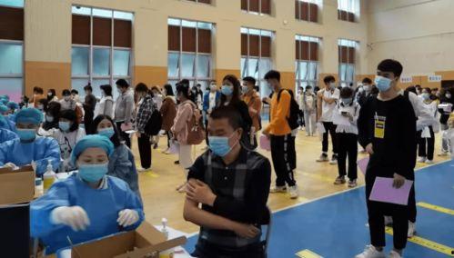 仁怀吃瓜事件视频最新消息,最新视频揭露惊人内幕