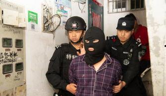 警匪吃瓜路人被抓视频,吃瓜路人意外被抓，现场视频曝光